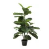 Deco Plant Vioolbladplant -Zuiver Verkoop bewerkt kare 60723 01