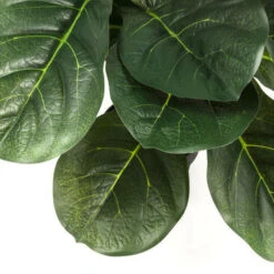 Deco Plant Vioolbladplant -Zuiver Verkoop bewerkt kare 60723 03