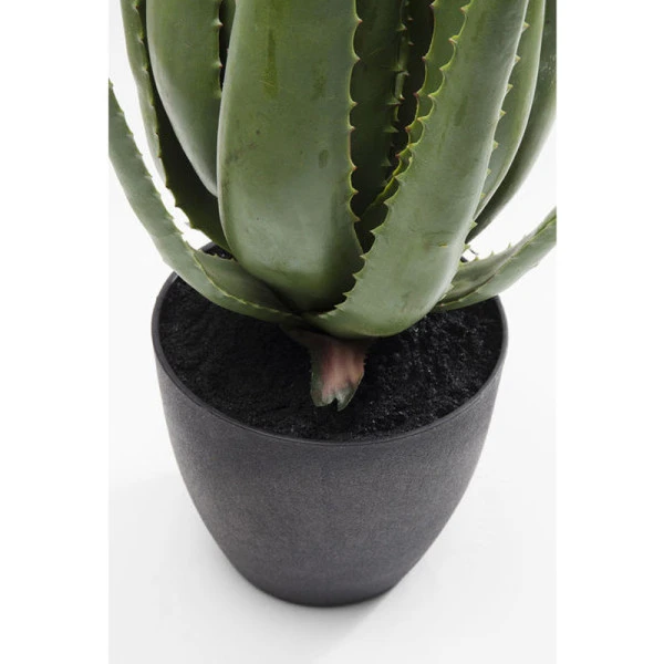 Deco Plant Aloe Vera 4 Deco Plant Aloe Vera - Afbeelding 2