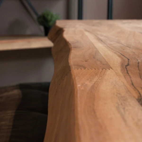 Boomstamtafel Matrix Poot 6 Boomstamtafel Matrix Poot - Afbeelding 4