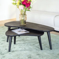Organische Salontafel Set Zwart