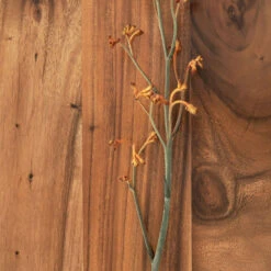 Barkruk Van Suar Hout -Zuiver Verkoop dtp home flare barkruk van suar hout 010