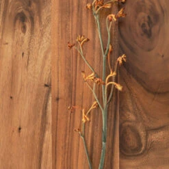 Salontafel Suar Hout Rond -Zuiver Verkoop dtp home flare ronde salontafel suar hout 01