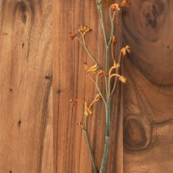 Stellingkast Van Suar Hout -Zuiver Verkoop dtp home flare stellingkast van suar hout 01