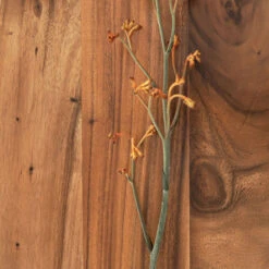 Stoere Bartafel Van Suar Hout -Zuiver Verkoop dtp home flare stoere bartafel van suar hout 01