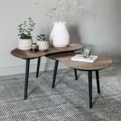 Organische Salontafel Set Teak