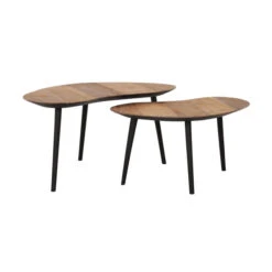 Organische Salontafel Set Teak -Zuiver Verkoop dtp home organus salontafelset teakhout 02
