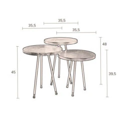 Metalen Bijzettafelset -Zuiver Verkoop dutchbone alim metalen bijzettafelset 05