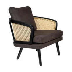 Retro Stoel Rotan Met Kussens -Zuiver Verkoop dutchbone manou retro webbing stoel met kussens 08