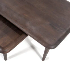 Salontafelset Mangohout -Zuiver Verkoop eleonora jiska salontafelset mangohout bruin 05 1