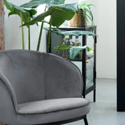 Glazen Kastje -Zuiver Verkoop glazen kastje bodio rise 05