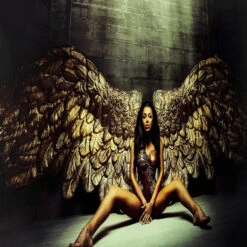 Glazen Schilderij -Zuiver Verkoop kare design angelwings glazen schilderij 04