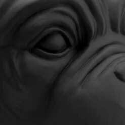 Bulldog Plantenbak Zwart -Zuiver Verkoop kare design bulldog black bulldog plantenbak zwart 01