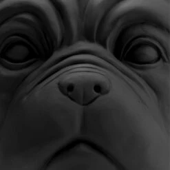 Bulldog Plantenbak Zwart -Zuiver Verkoop kare design bulldog black bulldog plantenbak zwart 02