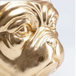 Bulldog Plantenbak Goud 16 Bulldog Plantenbak Goud -Zuiver Verkoop kare design bulldog gold bulldog plantenbak goud 09
