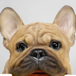 Franse Bulldog Met Dienblad -Zuiver Verkoop kare design butler frenchy franse bulldog met dienblad 06