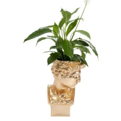 David Sculptuur Plantenbak -Zuiver Verkoop kare design david gold david sculptuur plantenbak 06