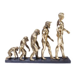 Sculptuur Evolutie