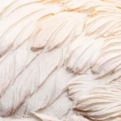 Flamingobeeld -Zuiver Verkoop kare design flamingo road flamingobeeld 05