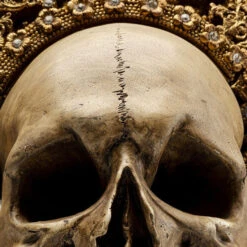 Deco Gouden Schedel 19 Deco Gouden Schedel -Zuiver Verkoop kare design king skull deco gouden schedel 07