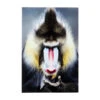 Glas Schilderij Aap 80x120 -Zuiver Verkoop kare design mandrill monkey glas schilderij aap 80x120 01