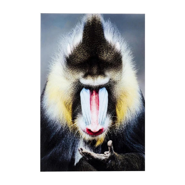 Glas Schilderij Aap 80x120 3 Glas Schilderij Aap 80x120