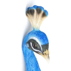 Wanddecoratie Pauw -Zuiver Verkoop kare design peacock wanddecoratie pauw 03