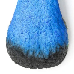 Wanddecoratie Pauw -Zuiver Verkoop kare design peacock wanddecoratie pauw 04