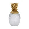 Ananas Glas En Goud -Zuiver Verkoop kare design pineapple visible ananas glas en goud 03