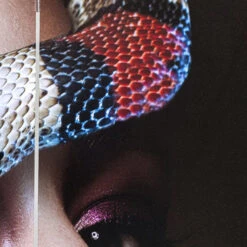 Kamerscherm Dubbelzijdig Schilderij -Zuiver Verkoop kare design royal headdress vs snake girl kamerscherm dubbelzijdig schilderij 05