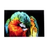 Glas Schilderij Papegaai 2 Glas Schilderij Papegaai -Zuiver Verkoop kare design tropical parrot glas schilderij papegaai 01