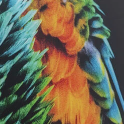 Glas Schilderij Papegaai -Zuiver Verkoop kare design tropical parrot glas schilderij papegaai 04