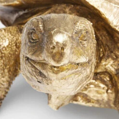 Gouden Deco Schildpad -Zuiver Verkoop kare design turtle gold gouden deco schildpad 05