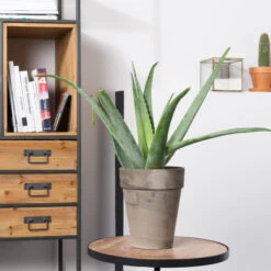 Open Wandkast -Zuiver Verkoop open wandkast samuel lumz home 09