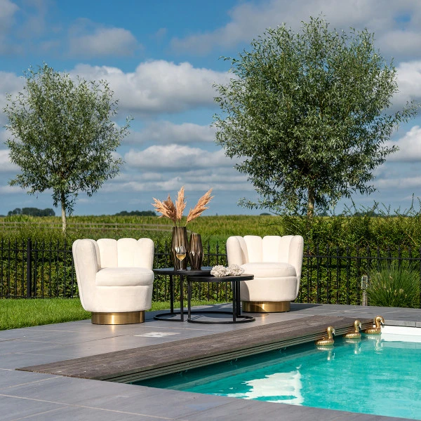 Design Fauteuil Met Goud 7 Design Fauteuil Met Goud - Afbeelding 5