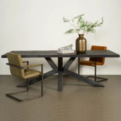 Zwarte Boomstamtafel Spinpoot