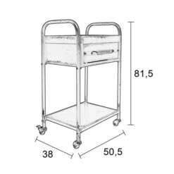 Trolley In Verweerde Look 12 Trolley In Verweerde Look -Zuiver Verkoop trolley in verweerde look vigo lumz home 07